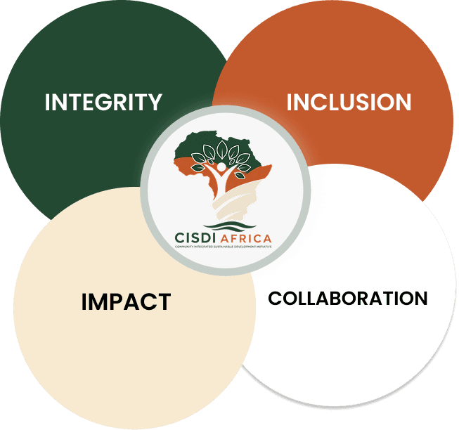 Who We Are - CISDI Africa Values